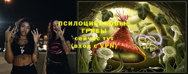 молекула духа Нягань