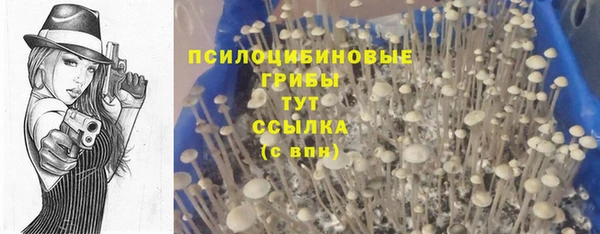 таблы Няндома
