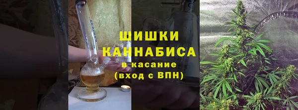 молекула духа Нягань