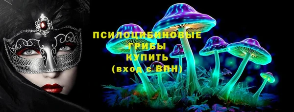 spice Нязепетровск