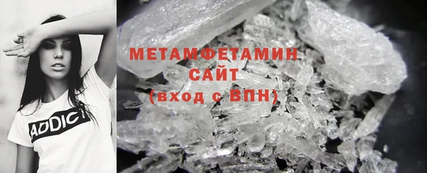 прущие грибы Соликамск
