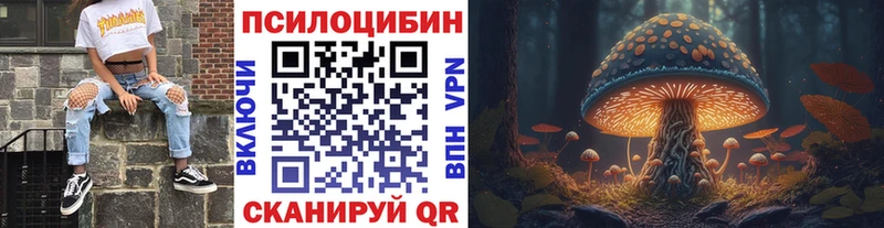 Псилоцибиновые грибы Cubensis  Сортавала 